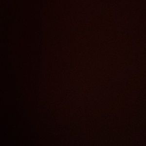 Meet your Posher, Dalia